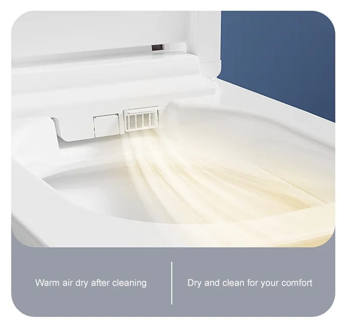 TruClean Divine Smart Toilet image 8