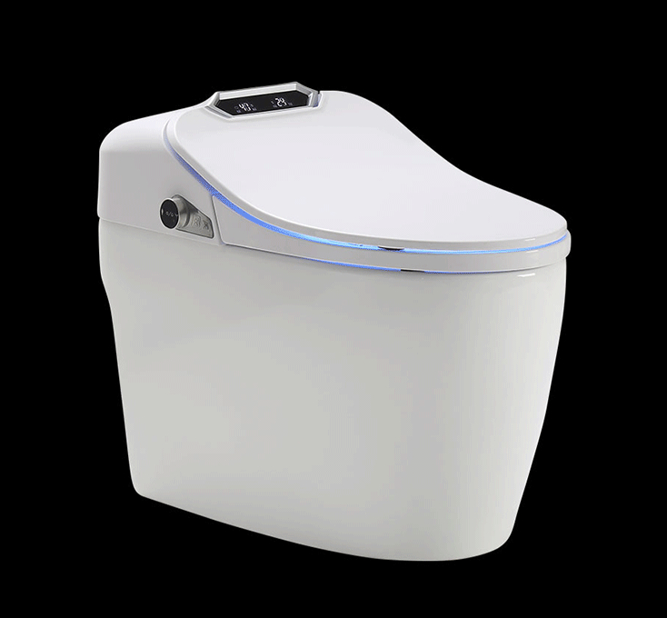 TruClean Elegance Smart Toilet image 6