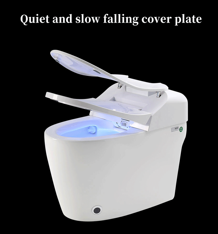 TruClean Elegance Smart Toilet image 3