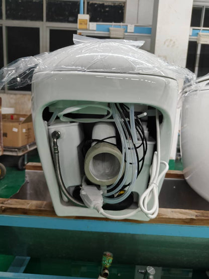 TruClean Aroma Japanese Smart Toilet